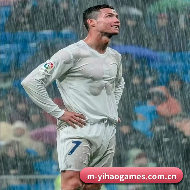 正式成立